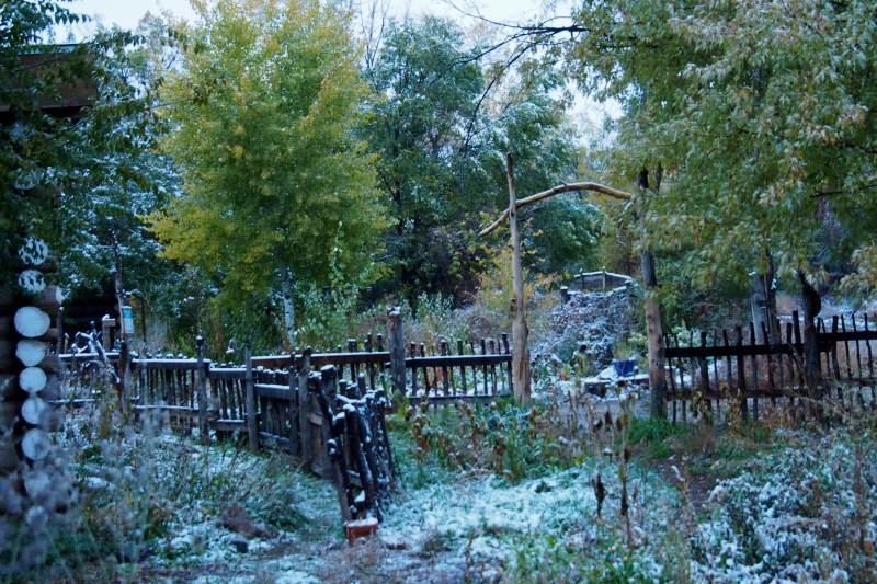 Taos Goji Farm & Eco-Lodge Retreat Arroyo Seco Екстер'єр фото