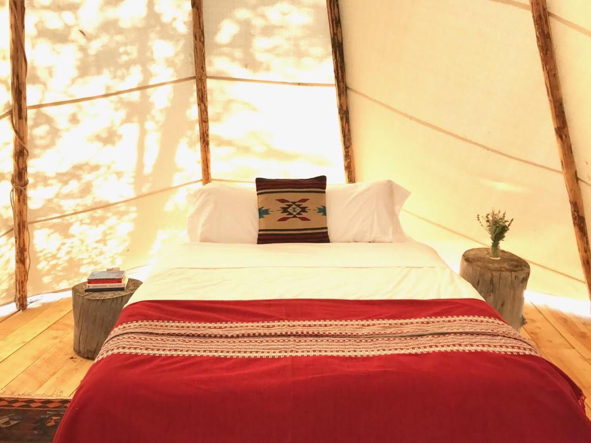 Taos Goji Farm & Eco-Lodge Retreat Arroyo Seco Екстер'єр фото